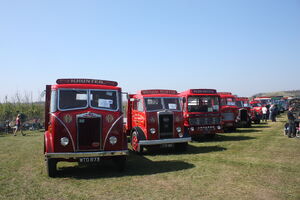 William Hunter collection (part) line up at Riverside 09 - IMG 7466