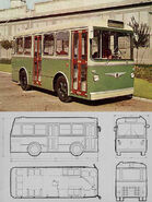 Mauri (Fiat 416) bus - 1966