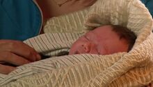 Babyraythemotel.jpg