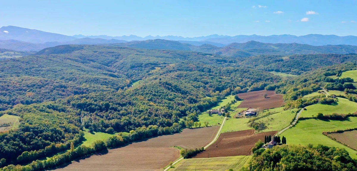 SaintJeanduFalga Wiki Le Train des français Fandom