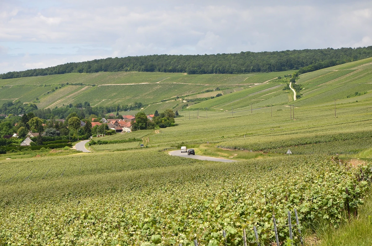 CourtemontVarennes Wiki Le Train des français Fandom