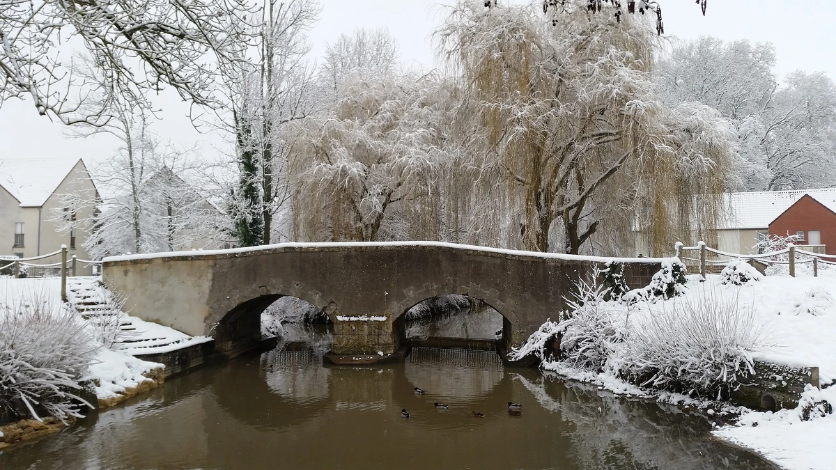 Semoy Wiki Le Train des français Fandom
