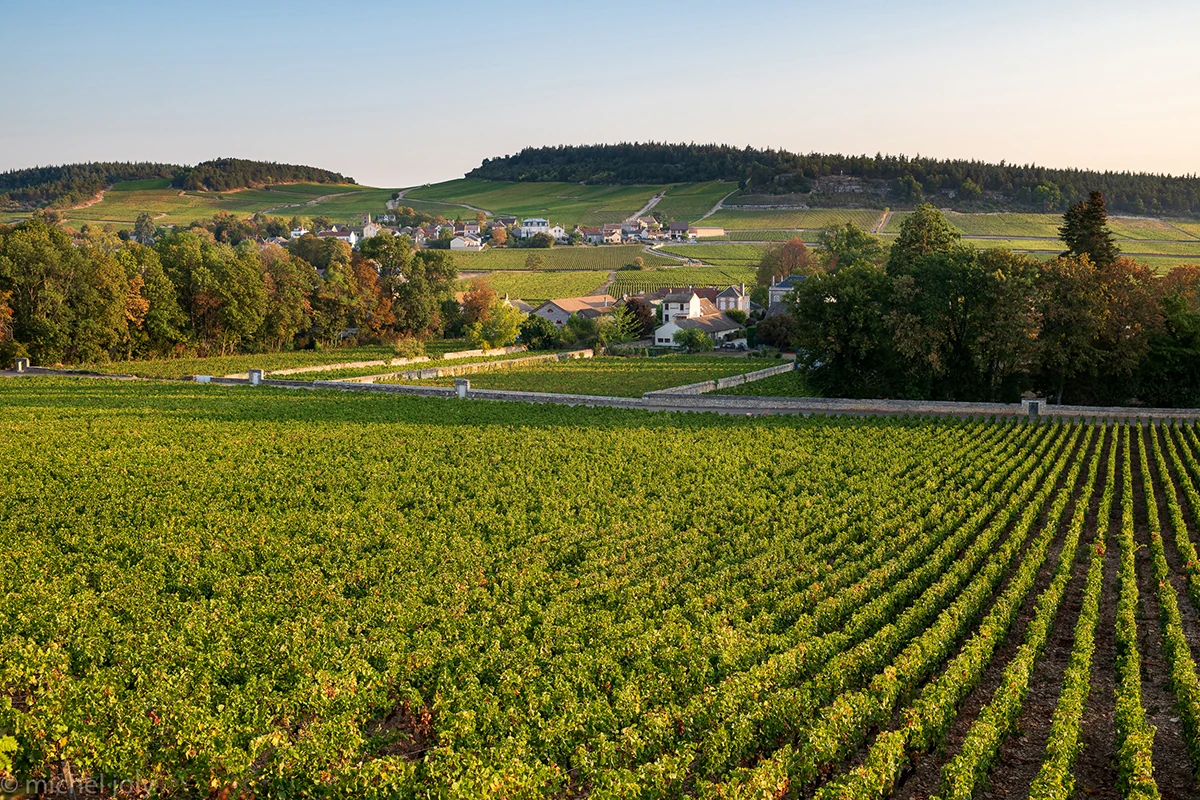 FargeslèsChalon Wiki Le Train des français Fandom