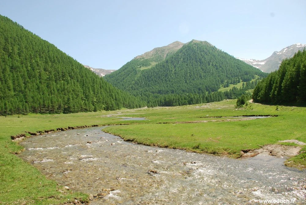 Les Thuiles Wiki Le Train des français Fandom