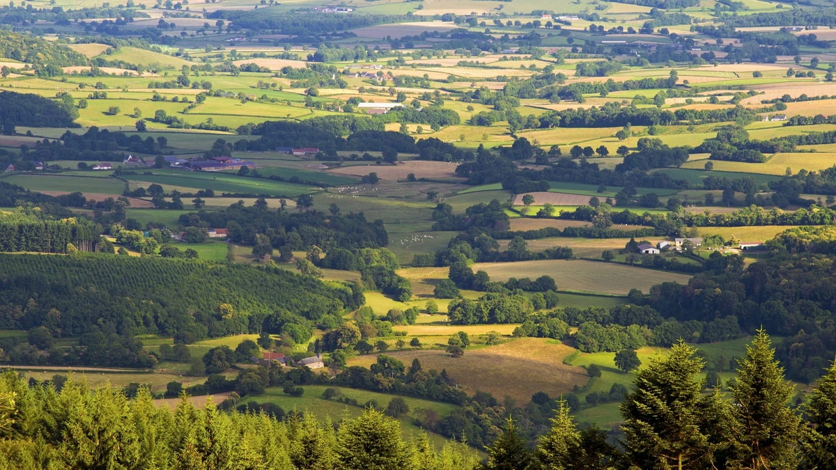La CelleenMorvan Wiki Le Train des français Fandom