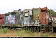 A fleet of scrapped ex-Northwestern Pacific (nee SP) GP9's awaiting their fate.