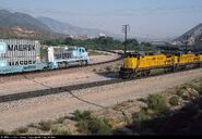 The ATSF-Maersk promo train meeting a UP freight at Cajon Pass, CA.