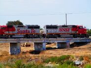 Patched and unpatched BNSF GP60M's leading a local.