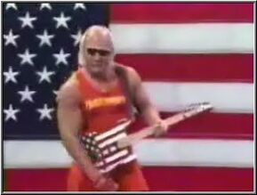 Hulk hogan guitar