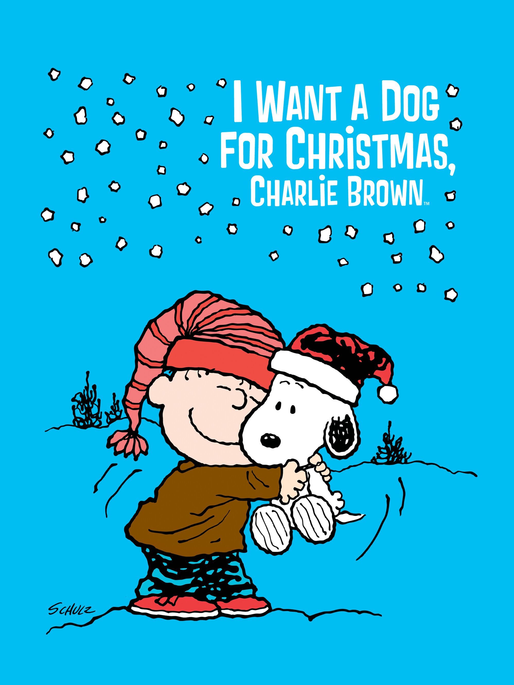 I Want A Dog For Christmas Charlie Brown Transcripts Wiki Fandom