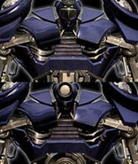 Payload head.jpg (56 KB) There is a great deal of variety between individual Van Dudes