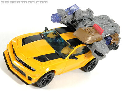 R leader-bumblebee-048