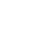 Class Use Brawler.png