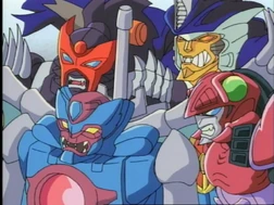 "Look at the camera, morons"