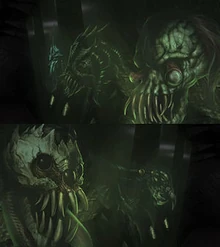 300px-Airachnidspecimens