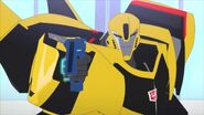 W.W.O.D.? Bumblebee gun