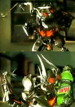 The Transformer Bottle