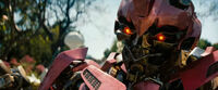 Dotm-laserbeak-film-pink.jpg