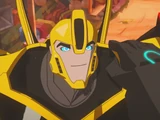 Bumblebee TFP