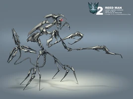 Rotf-reedman-1