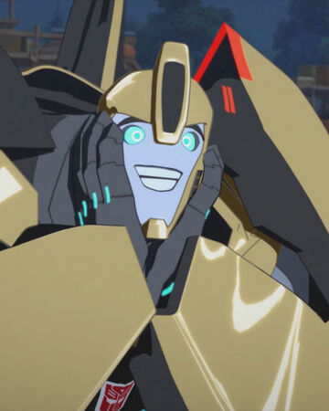 transformers robots in disguise adventures in bumblebee sitting