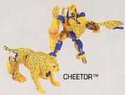 Cheetor-preliminarytoy