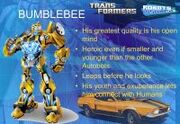 Bumblebee concept art (TFP)