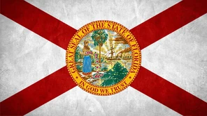 Official state flag