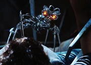 Smaller than , but far more sadistic.