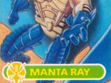 Manta Ray (BW)