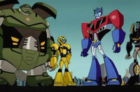 TFA TFandRollout Autobots