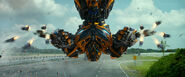 Bumblebee Age of Extinction