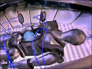 1T;$ T£h Nekk1d !1! L@@K!