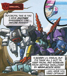 DWSummerspecial RID Autobrothers Megs