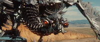 Dotm-laserbeak-film-africa.jpg
