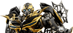 AOE-Bumblebee