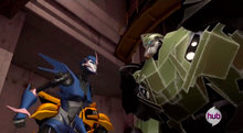 Arcee and Bulkhead argue