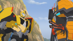 Bee & Drift