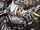 Prowl (Movie)