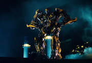 Bumblebee-wins