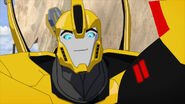 Bumblebee smiling