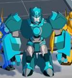 Бэшбрейкер