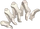 Ear item #117