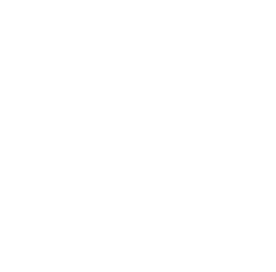 Spidermouse Web