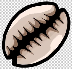 Seashell detailed