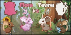 Flora vs Fauna 2023 (13 Apr – 27 Apr)