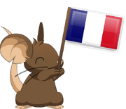 Flag waving FR