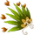 Head item #87