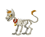 Skeleton cat
