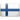 Flag FI